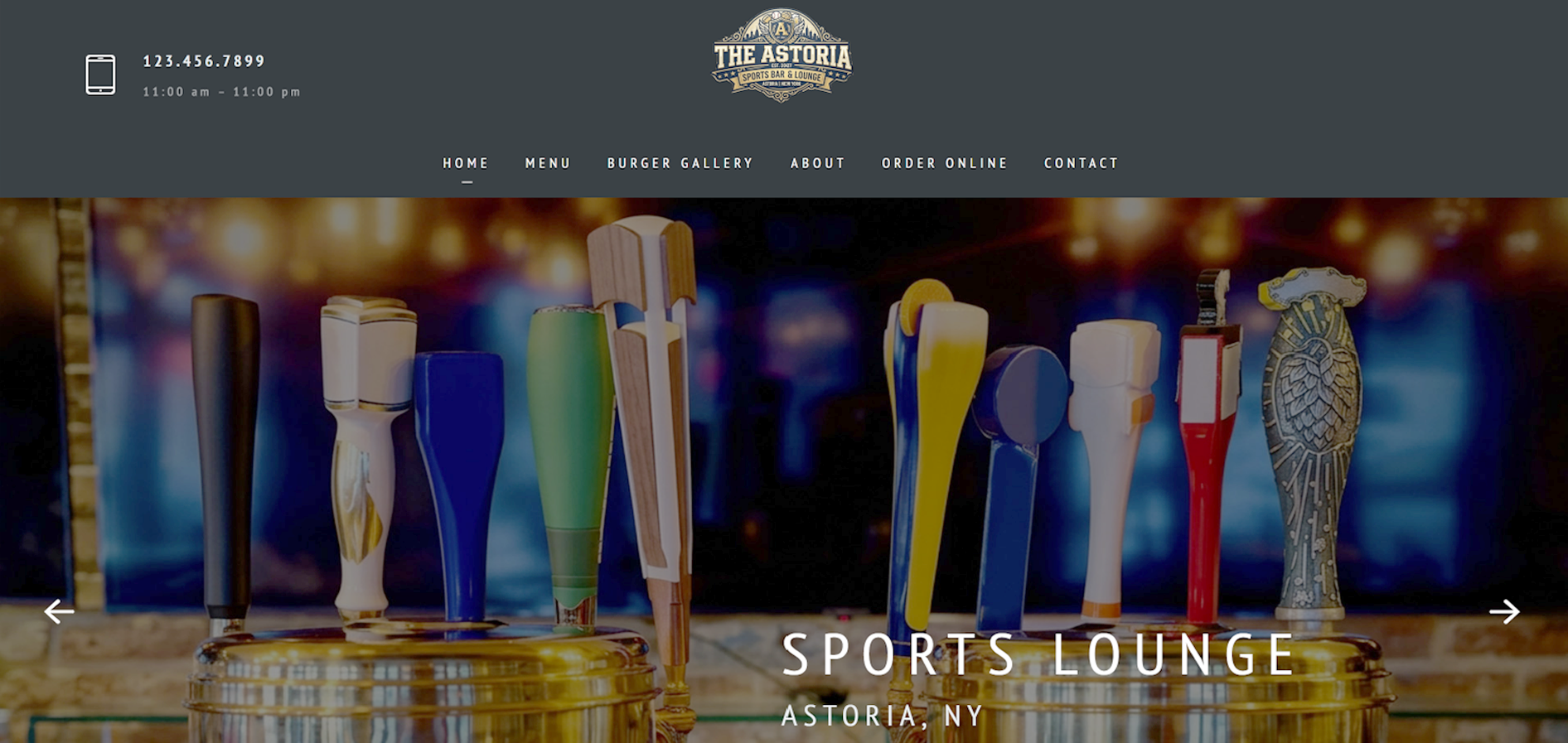 Sports Lounge Multi-Page Website  | Dr. Riese